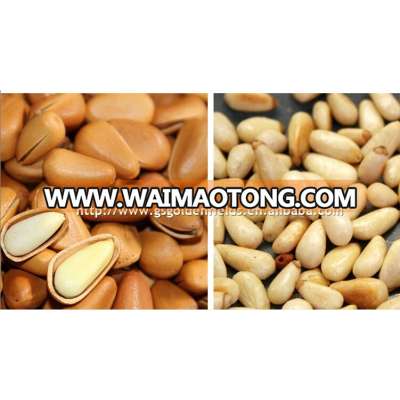 gansu price favorable pine nuts