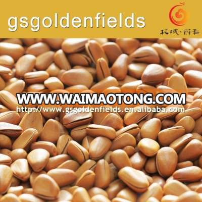 the high quality pine nuts pakistan pine nuts white pine nuts