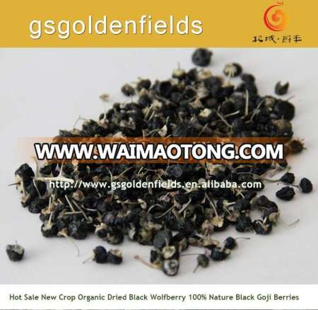 black goji berry on hot sale