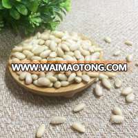 Common Cultivation Type white pine nuts 950